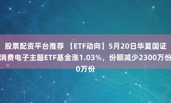 股票配资平台推荐 【ETF动向】5月20日华夏国证消费电子主题ETF基金涨1.03%，份额减少2300万份