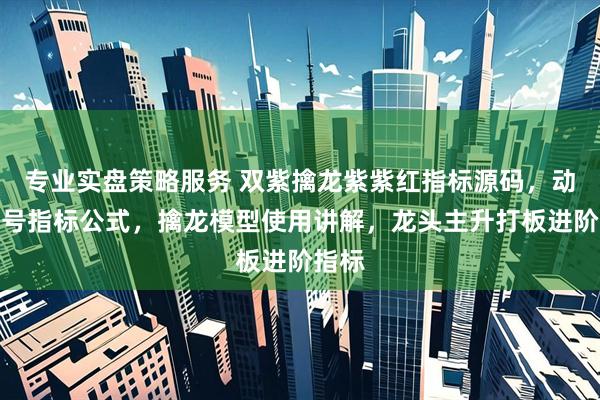 专业实盘策略服务 双紫擒龙紫紫红指标源码，动能二号指标公式，擒龙模型使用讲解，龙头主升打板进阶指标