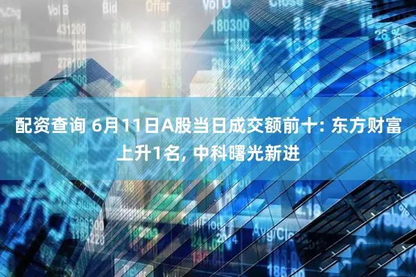 配资查询 6月11日A股当日成交额前十: 东方财富上升1名, 中科曙光新进